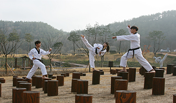 entrenamiento tradicional de artes marciales