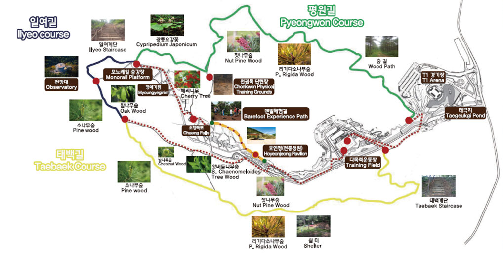 Ilyeo course/Pyeongwon Course/Taebaek Course
