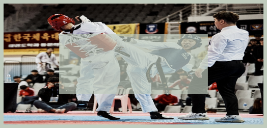 2019 Taekwondowon Contest (Masters Section)