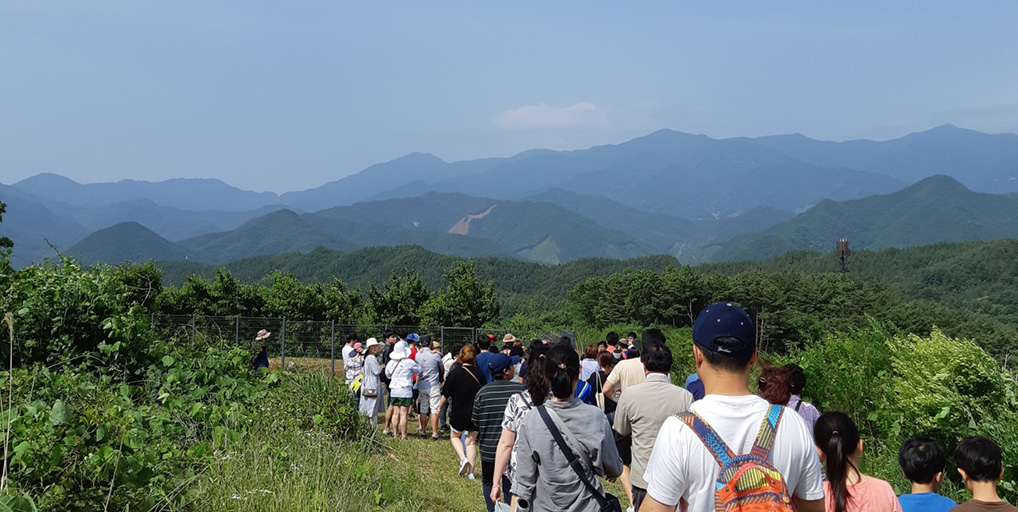 Chaeinji-ro Trekking Forest