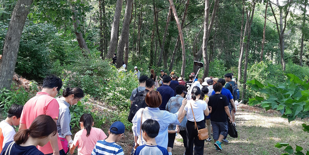 Chaeinji-ro Trekking Forest