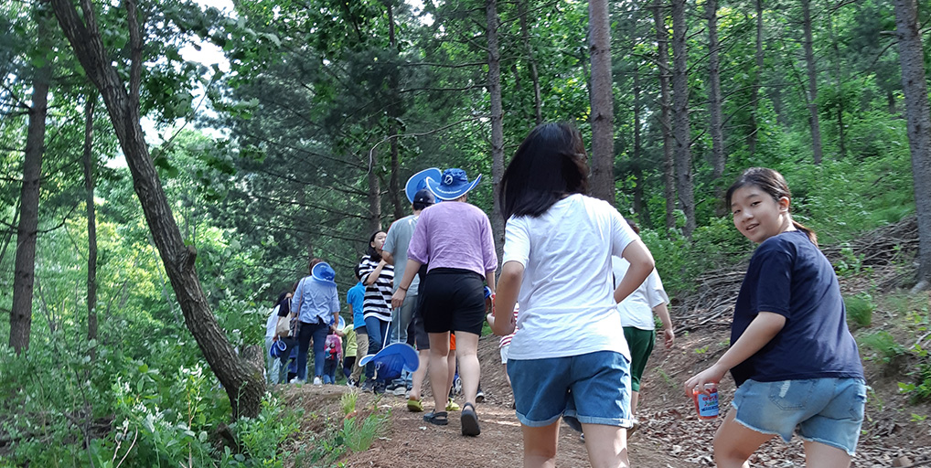 Chaeinji-ro Trekking Forest