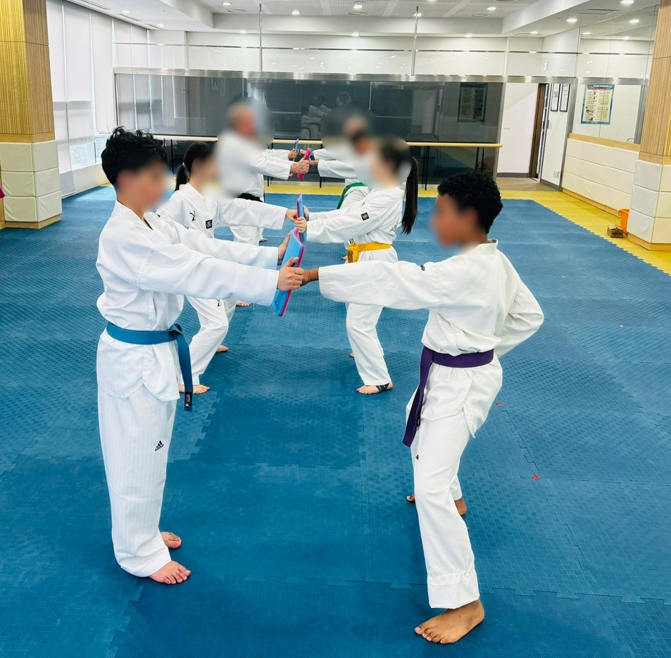 Basic Postures of Taekwondo image