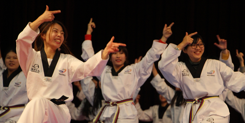 Taekwondo Performance