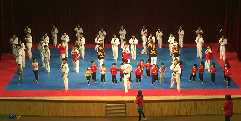 Taekwondo Performance