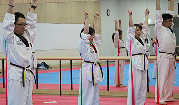 Terapia de curación de Taekwondo