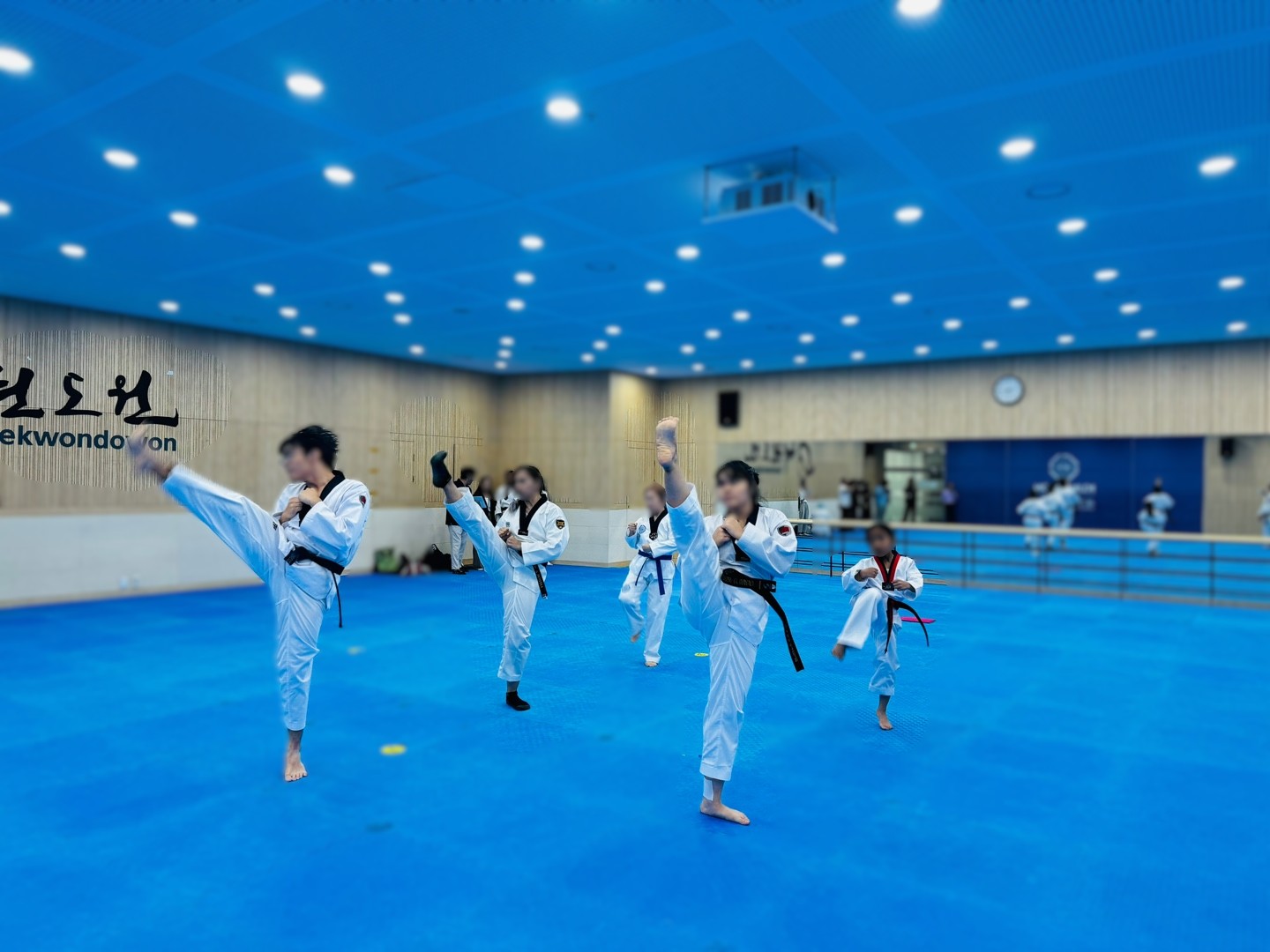 Poomsae image