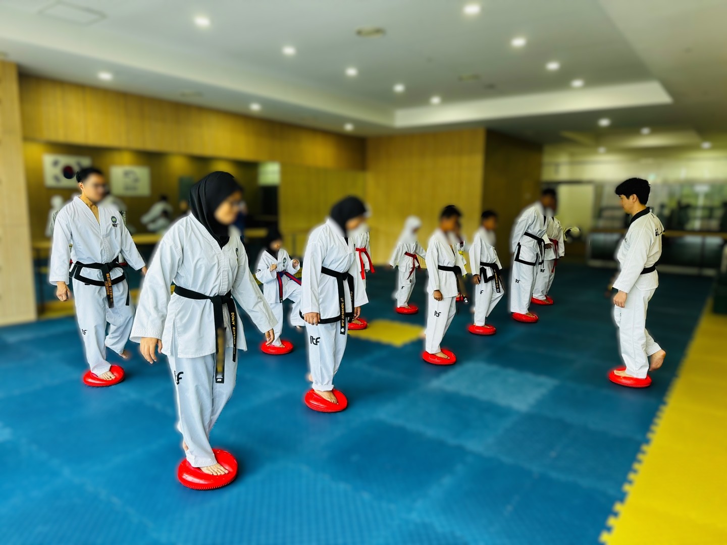 Taekwon Healing Therapy image