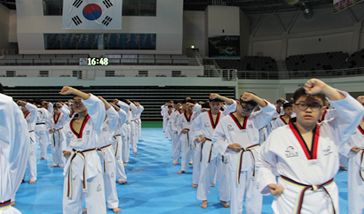 Basic Postures of Taekwondo image