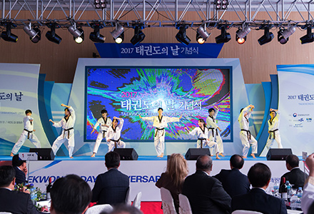 A team demonstrating Taekwondo