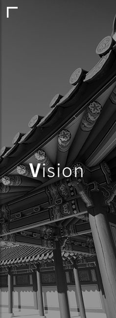 vision