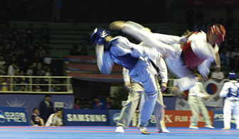 在第103届IOC大会（1994.9）上，跆拳道被列入奥运会正式比赛项目
