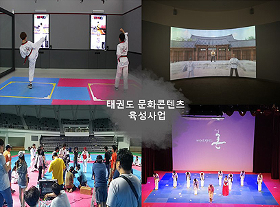 Proyecto de Desarrollo de Contenidos Culturales Taekwondo