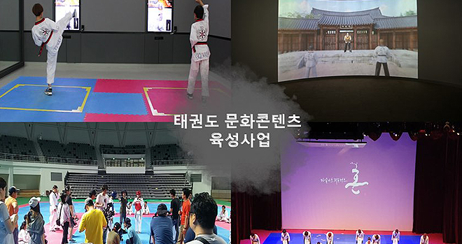 Proyecto de Desarrollo de Contenidos Culturales Taekwondo
