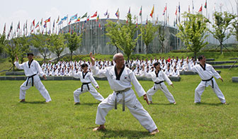 Necesidad de asegurar la legitimidad y el estatus como la patria del Taekwondo