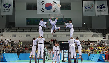 Execution of Taekwondo promotion businesses for the development of Taekwondo and the enhancement of international status